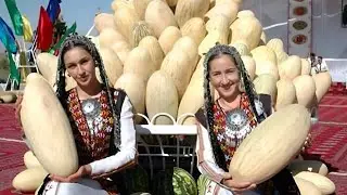 Qovun Eksport jarayonlar - Final