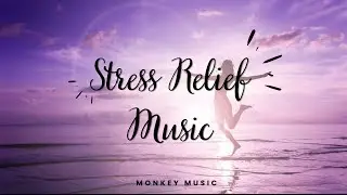 Relaxing Stress Relief Music [ 2 ]||🐵 MONKEY MUSIC