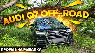 Как я нашел лучшее место для рыбалки