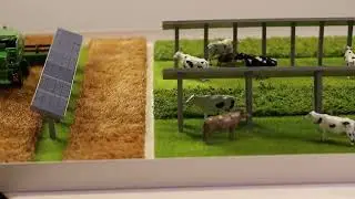 Agrivoltaic Solar Farm