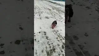 #снимаетшапку