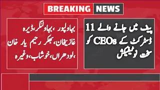 How to check School Education Department Punjab Mentoring Wing Notification - Home Tutor