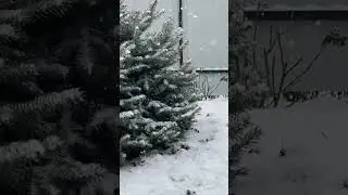 Редкие кадры для юга. Архив 13.01.2022