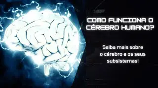 Como funciona a memoria? E os seus subsistemas?