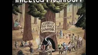 Infected Mushroom - 9 Percent