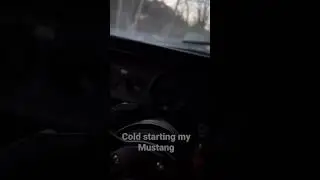 Cold starting my Mustang 🏎️ #Racecar #mustang #Hellraiser
