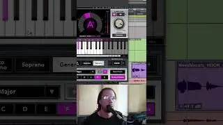 Use this auto-tune for more natural sounding vocals (Waves Real-Tune)