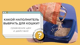 Какой наполнитель выбрать для кошачьего туалета? Сравнение наполнителей и цен