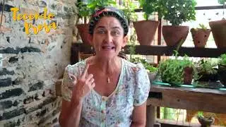 Você Tem Normose?