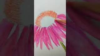 Рисую акварельными карандашами 
