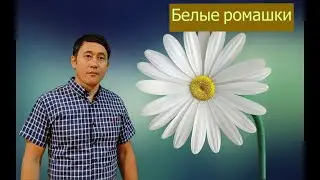 Азамат Исенгазин - 
