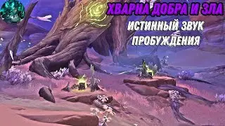Хварна добра и зла| Истинный звук пробуждения| Genshin Impact