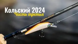 Рыбалка на Кольском полуострове в июне. Часть третья.