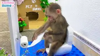 BiBi goes to toilet so funny