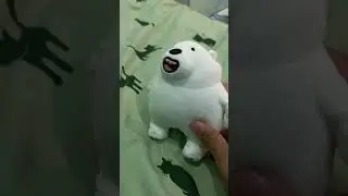 Wow the cat is very cute