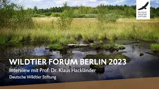 Wildtier Forum Berlin 2023: Interview mit Prof. Dr. Klaus Hackländer