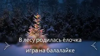 В лесу родилась ёлочка