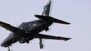 MVI 3217