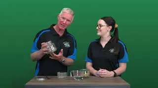 How To Convert Your Bird to Pellets