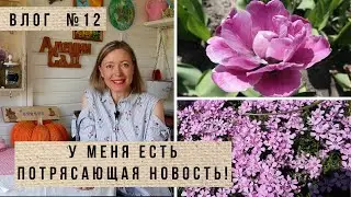 У меня есть новости! Влог 12 / Посадка порея, баклажанов, салата и фасоли / Много тюльпанов!