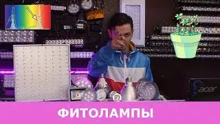 Светодиодные фитолампы для растений. Что это такое и какие они бывают? | TeslaLight