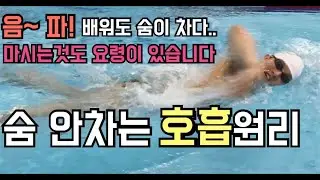 내 영업비밀..꺼냈다 후회안한다(호흡법, 킥판잡는법 디테일)자유형호흡,수영인
