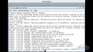 How To Install and Use MySQL on Debian 7