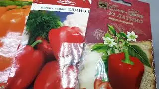 Мой выбор семян на 2020 год, пасленовые.