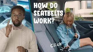 Seatbelts: Georgia Road Safety