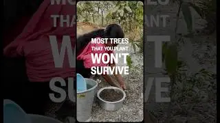 What‘s the secret of our trees in India?