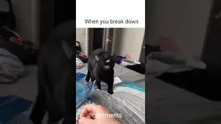 When you break down memes