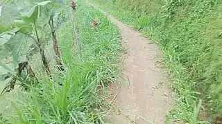 JALAN HOROR MENUJU KEBON KACANG