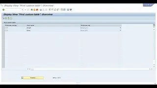 TMG(Table Maintenance Generator) in SAP ABAP
