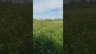 24 июня 2024 г.