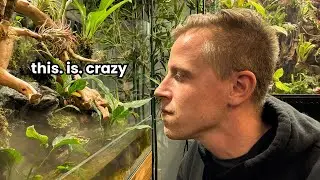 Where Water MEETS LAND! Ultimate Aquarium Build