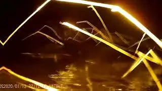 ПОДВОДНАЯ ОХОТА В ШЛИССЕЛЬБУРГЕ