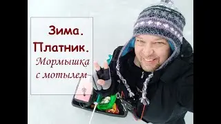 Зима.  Платник.  Мормышка с мотылем.
