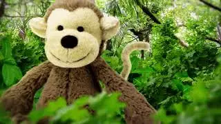 IT'S A MONKEY
