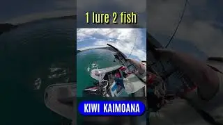 1 lure 2 fish! (Caught in only 5 seconds)