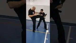 Seigan feeling #ninjutsu #shadowwarrior #bujinkan #martialarts #budotaijutsu #ninja #taijutsu