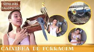 FAZENDO BRINQUEDO PARA CALOPSITA! Caixa de forrageamento!