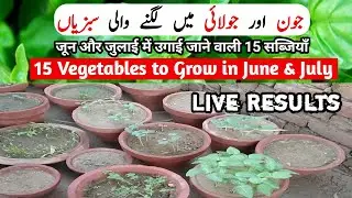 15 Vegetables to Grow in April And May In Asia At Home | Summer Season Vegetables Grow in Pots