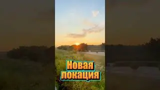 ЛУЧШЕЕ МЕСТО ДЛЯ БЕГА? #похудение #челлендж #худеюбездиет #бег #худеюнавсегда #худеюправильно