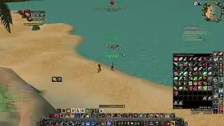 Tel'Abim PVP Turtle WOW - UD Hunter