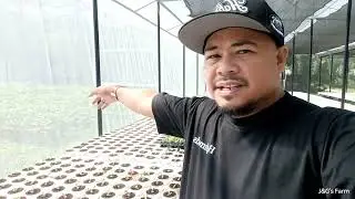 FARM UPDATE: What's New on Our FARM