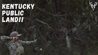 EARLY season Kentucky PUBLIC LAND| We found the DEER!