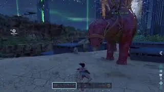 Ark
