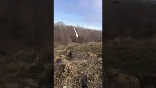 Охота на шакалов 