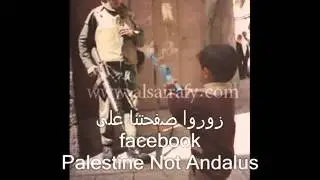 أنشودة نمت فلسطين   سعد الغامدي