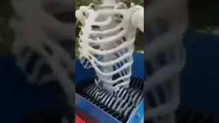 Skeleton get shredded